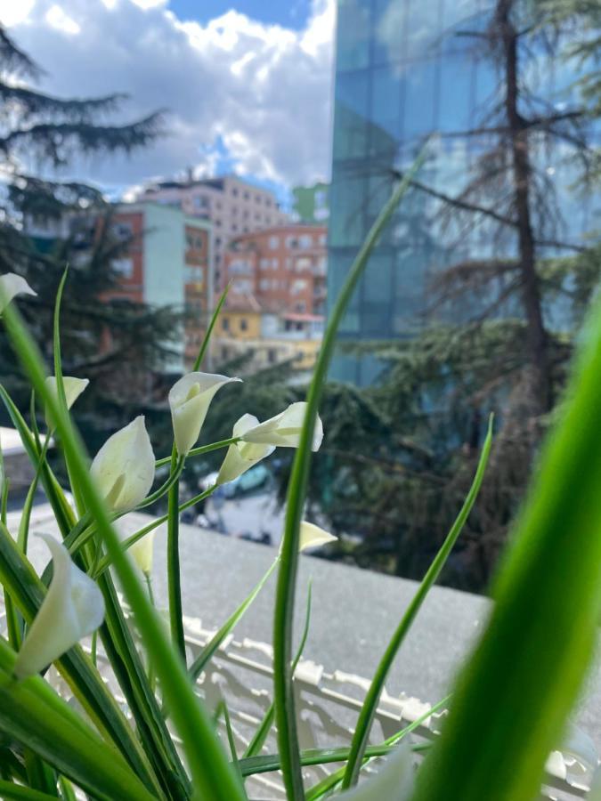 Jonexh Apartments Тирана Екстер'єр фото